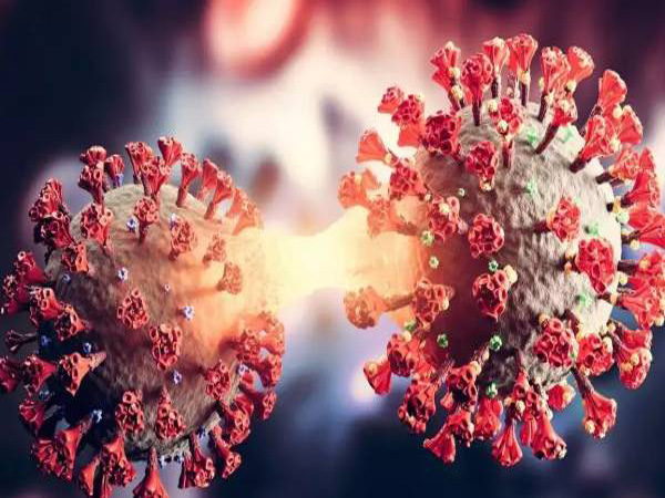 Neo Cov: Wuhan Scientists Warn of New Coronavirus Strain With High Death, Infection Rate