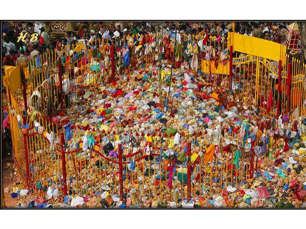 మేడారం పాలకుడికి.. మేడారం పాలకుడికి..