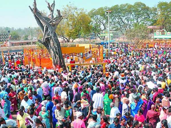 సమ్మక్క భక్తుడిగా.. సమ్మక్క భక్తుడిగా..