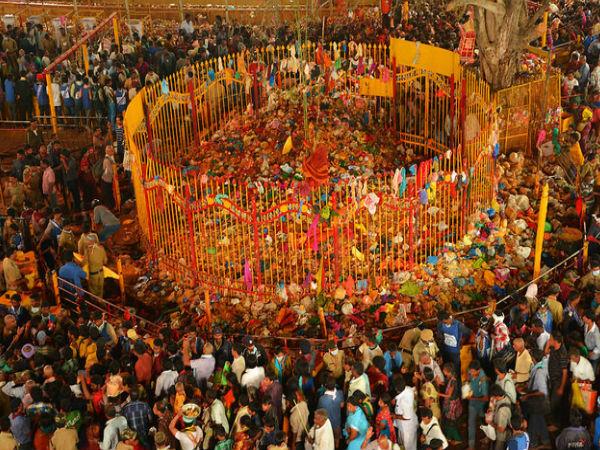 Medaram Sammakka Sarakka Jatara Festival 2022 in Telangana Dates, History, Meaning, Significance in Telugu Medaram Sammakka Sarakka Jatara Festival 2022 in Telangana Dates, History, Meaning, Significance in Telugu