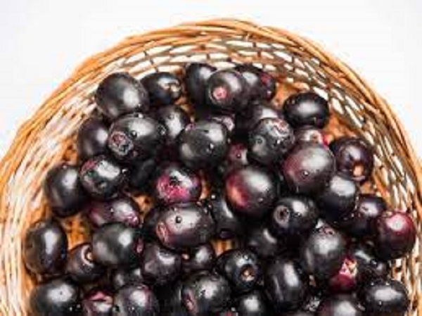 నేరేడు పండ్లు