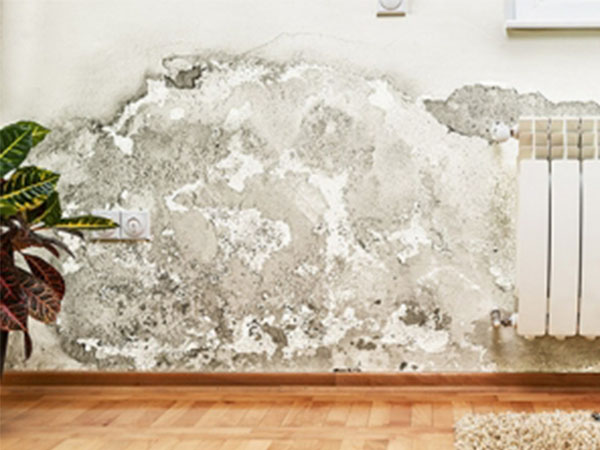 గోడలలో పగుళ్లు