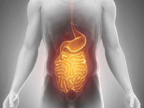 అజీర్తి బాగానే ఉంటుంది