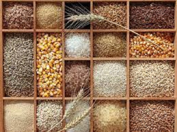 గ్లూటెన్