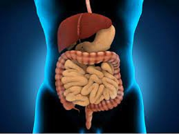  ప్రేగు క్యాన్సర్