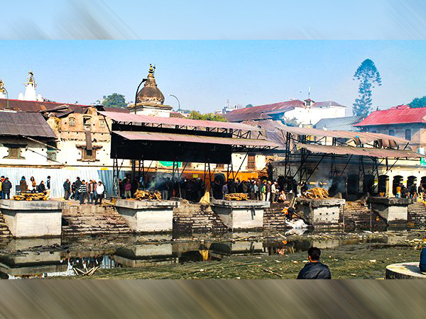 వృద్ధులు ఎందుకు ఎక్కువగా వెళ్తారు?