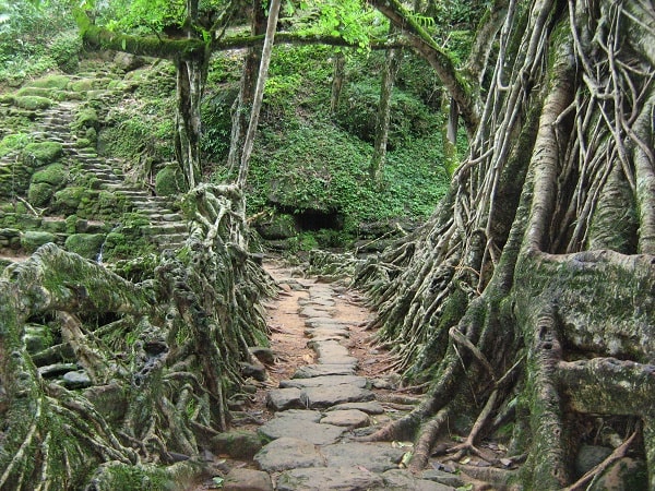 Life in Mawsynram during the monsoon- receives highest rainfall 