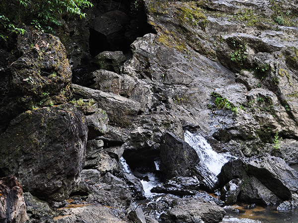3. నీళ్లు, ఆహారం తీసుకెళ్లండి