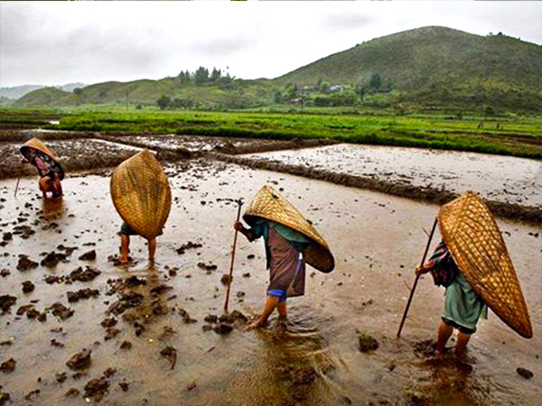 Life in Mawsynram during the monsoon- receives highest rainfall 