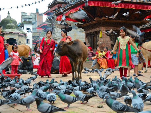 శవాలను దహనం చేసేందుకు వేదికలు