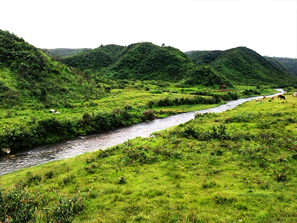 Life in Mawsynram during the monsoon- receives highest rainfall 