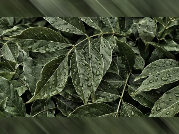 7. ఇవి తప్పనిసరి