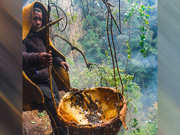 మ్యాడ్ హనీ అంటే ఏమిటి?