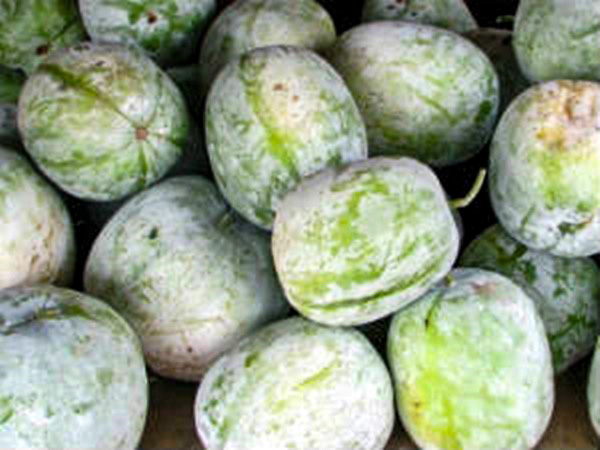 బూడిద గుమ్మడి ఉపయోగాలు: