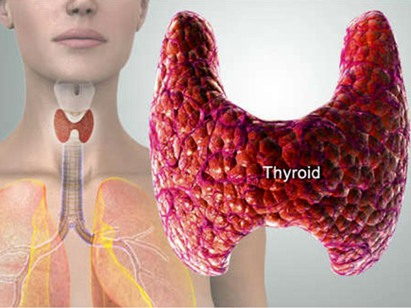 4. ఫుడ్ డైరీని ఉంచండి