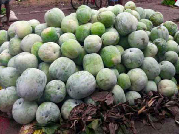 బరువు తగ్గడానికి బూడిద గుమ్మడి: