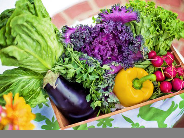 సేంద్రీయ తృణధాన్యాలు & పప్పులు సేంద్రీయ తృణధాన్యాలు & పప్పులు