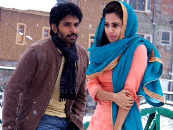 మీరు చుట్టూ ఉన్నప్పుడు అలెర్ట్ గా ఉంటారు