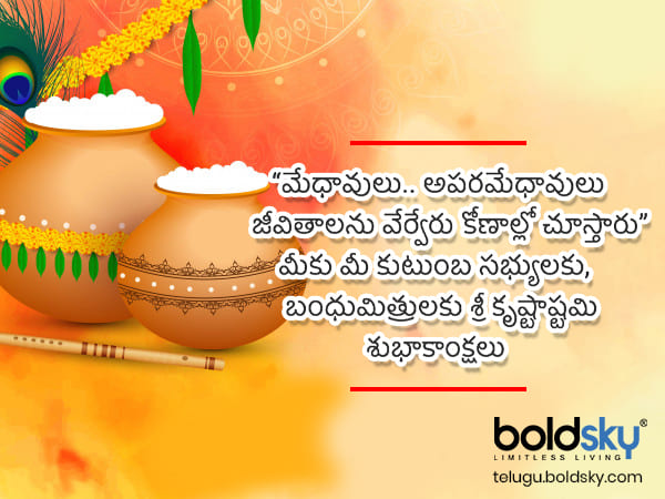 మేధావులు.. అపరమేధావులు ..