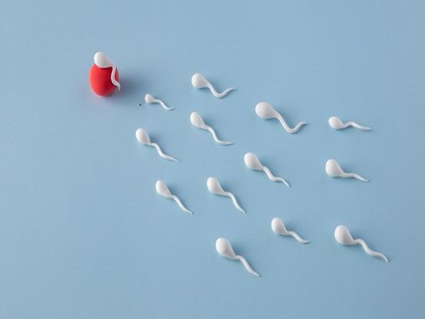 స్ఖలనం తర్వాత మూత్రం నుండి స్పెర్మ్ వెలికితీత స్ఖలనం తర్వాత మూత్రం నుండి స్పెర్మ్ వెలికితీత