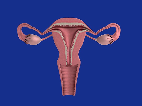 గర్భిణీ స్త్రీలలో ఫైబ్రాయిడ్స్ వల్ల సమస్యలు