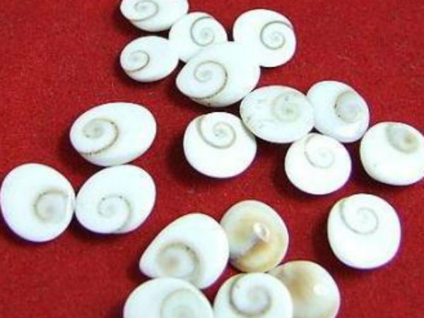 8. గోమతీ చక్రం 8. గోమతీ చక్రం