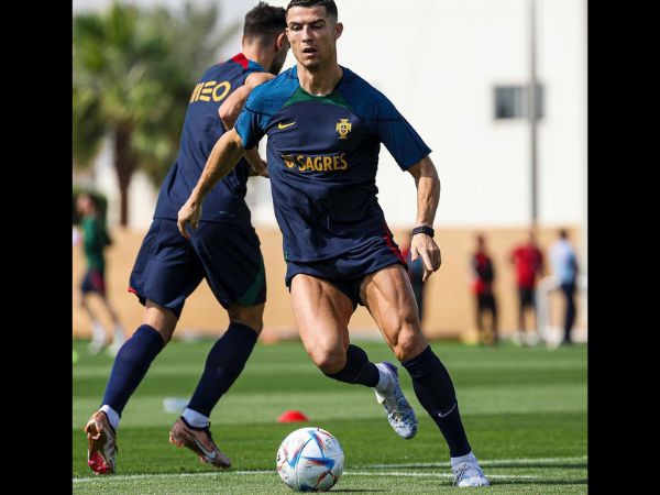 2. సరైన శిక్షణ: