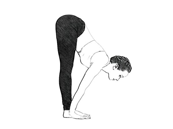 4. ఉత్తనాసన