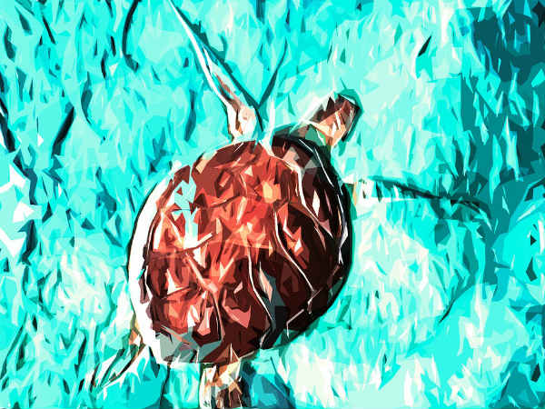 2. లోహపు తాబేలు