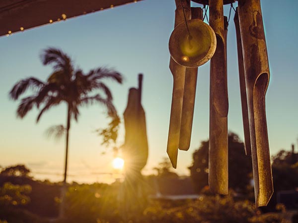 What is Sounth Bath? What are its health benefits in Telugu