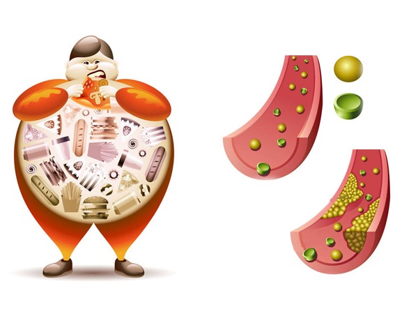 చెడు కొలెస్ట్రాల్‌ను తగ్గిస్తుంది