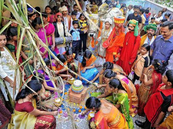 ఆంధ్ర, తెలంగాణలో (Bhogi, Sankranti, Kanuma)