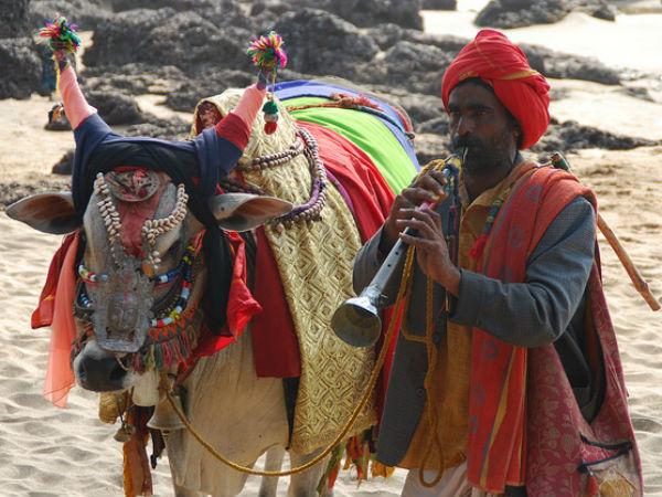 గంగిరెద్దులకు ఎలాంటి వస్తువులు దానం చేయాలి: