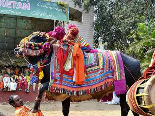 గంగిరెద్దులకు ఎలాంటి వస్తువులు దానం చేయకూడదు: