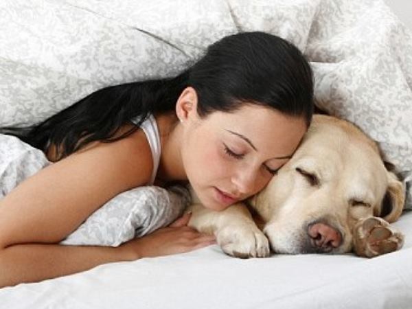 పెంపుడు జంతువులను పక్కనే పడుకోబెట్టుకోవడం: