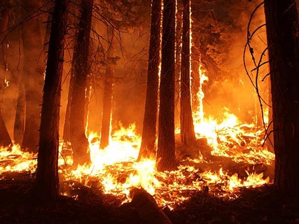 మంటలను పూర్తిగా ఆర్పేయాలి: