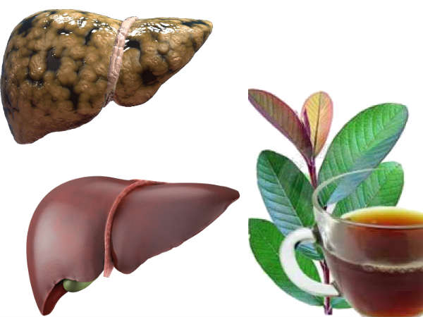 కాలేయ ఆరోగ్యానికి కాలేయ ఆరోగ్యానికి