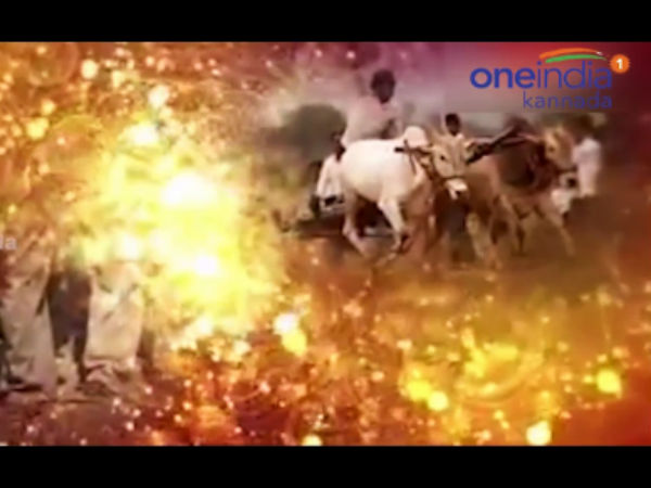 2) సంక్రాంతి పండుగ