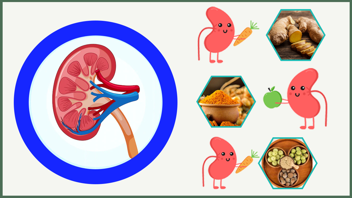 Best Ayurvedic Cures To Get Reduce Risk Of Kidney Stones in telugu Best Ayurvedic Cures To Get Reduce Risk Of Kidney Stones in telugu