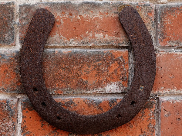 గుర్రపు నాడాను ఇలా ఉంచాలి: