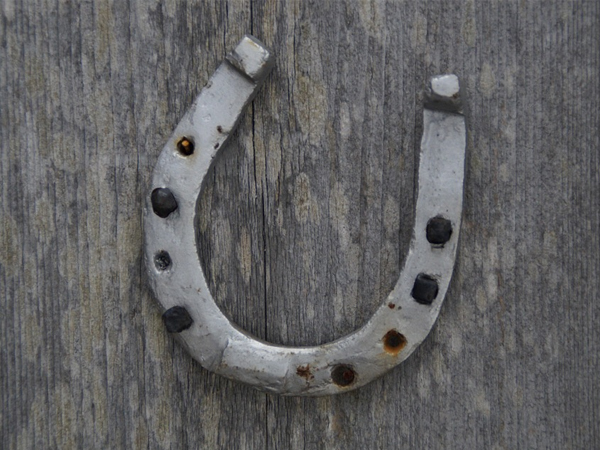 గుర్రపు నాడా ఏ దిక్కులో ఉంచాలి: