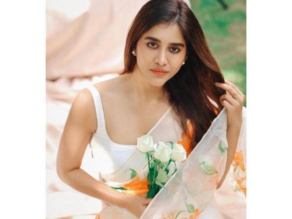 Nabha Natesh stunning pics in traditional wear