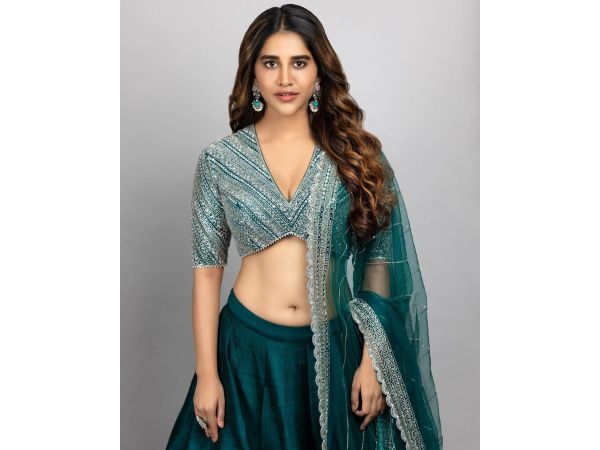 Nabha Natesh stunning pics in traditional wear