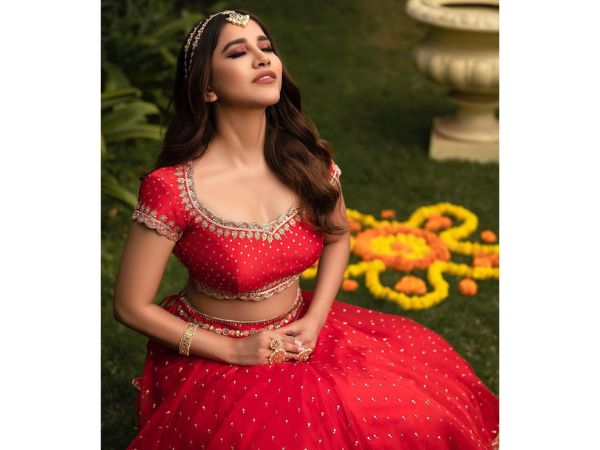 Nabha Natesh stunning pics in traditional wear