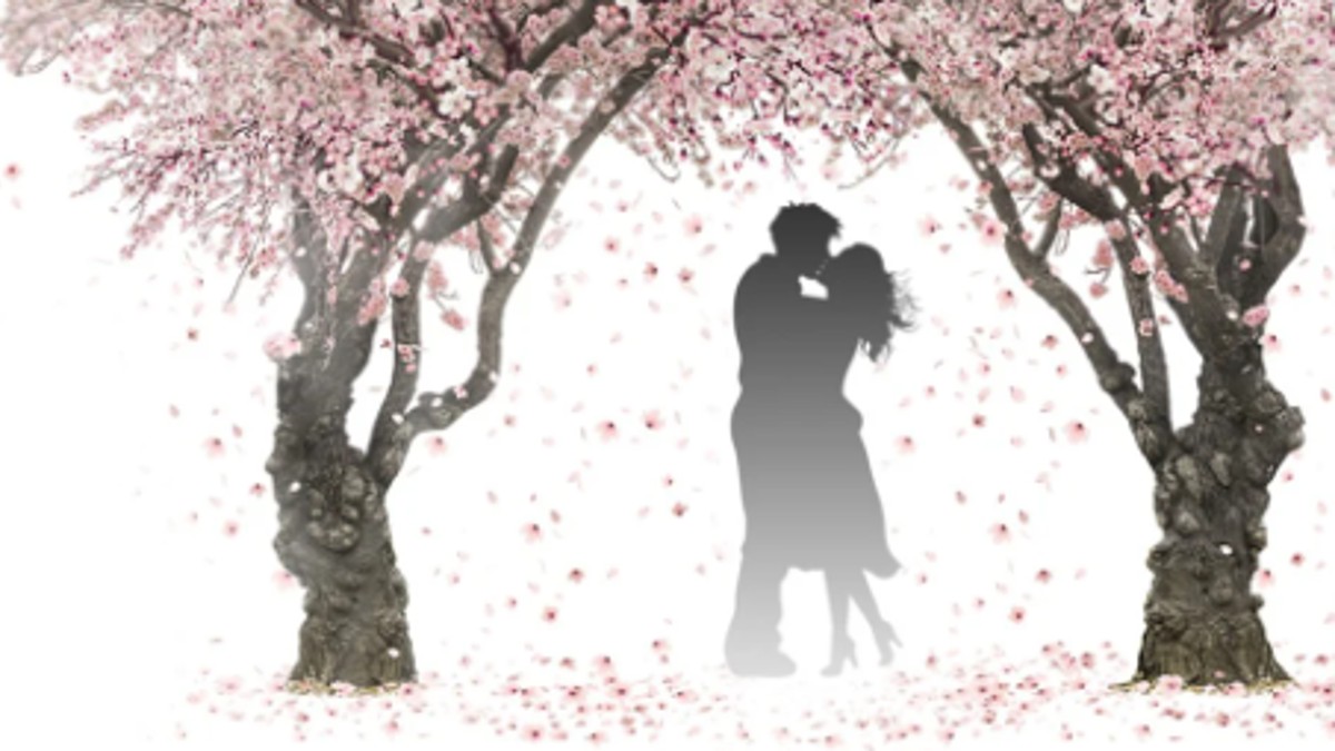 Can Valentines Day be bad for some relationships? in Telugu Can Valentines Day be bad for some relationships? in Telugu