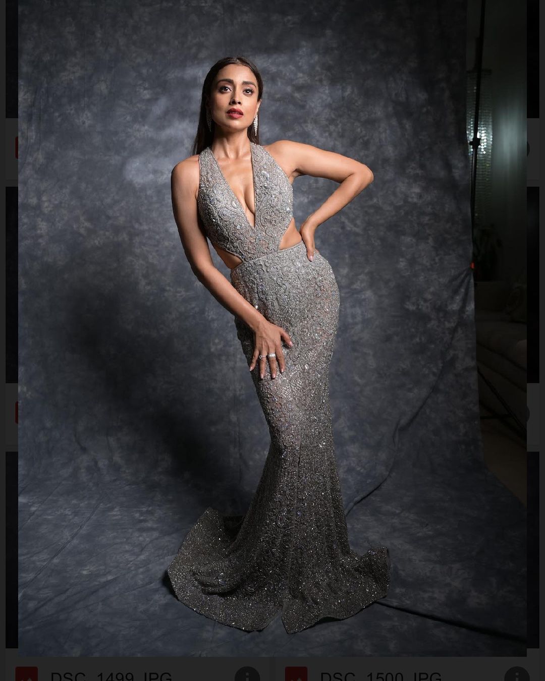 Actress Shriya Saran Looks Amazing in Silver Color Gown