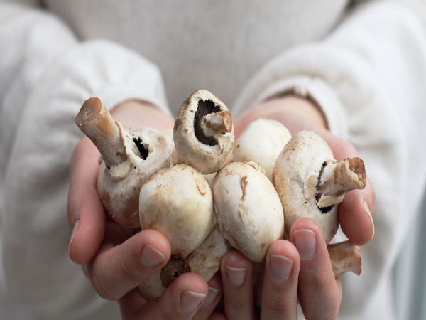Reasons Why Mushrooms Are Good For Diabetic Patients in Telugu