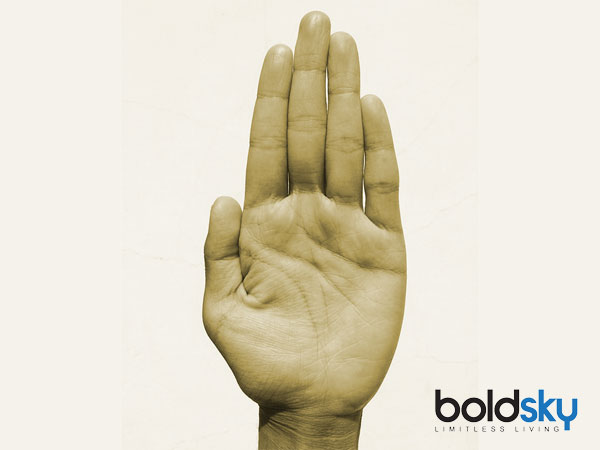 పసుపు అరచేతి పసుపు అరచేతి