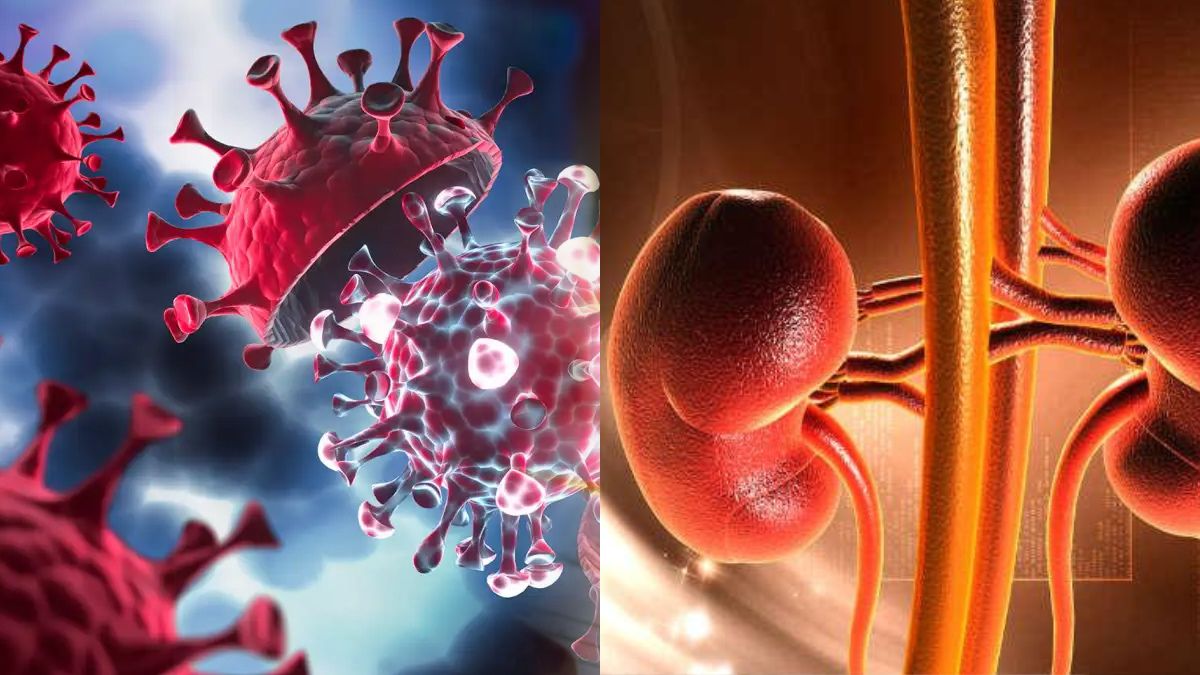 H3N2 Influenza: New Flu Virus Side Effects And Damaging Kidneys In Telugu H3N2 Influenza: New Flu Virus Side Effects And Damaging Kidneys In Telugu