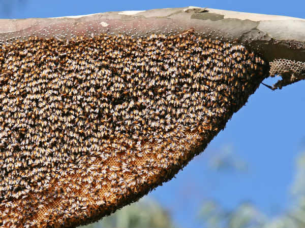 Remove These Things From Your Home To Be Rich Remove These Things From Your Home To Be Rich